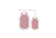 Blood Bag