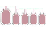 Blood Bag